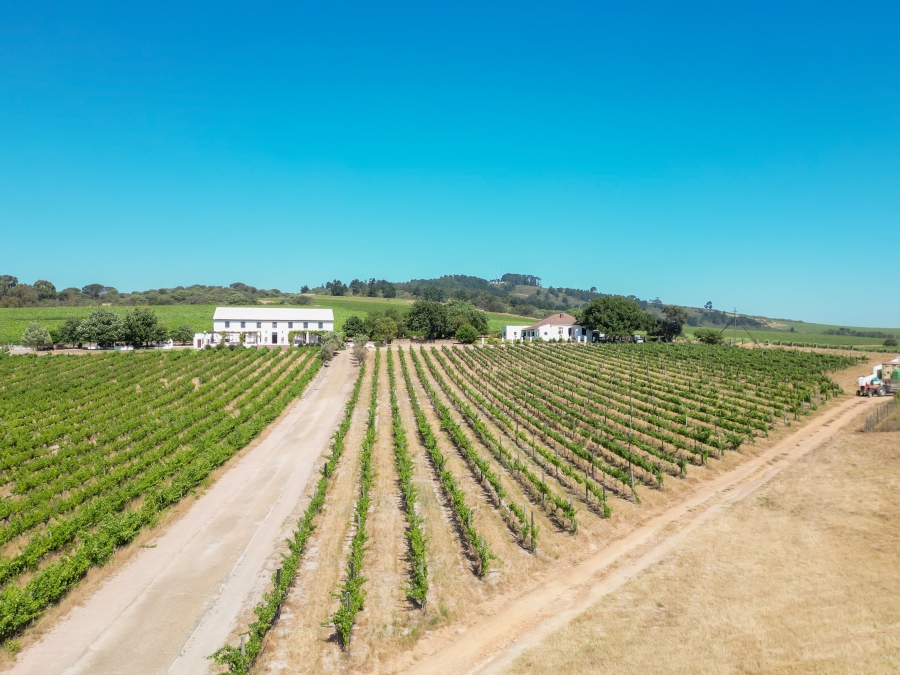 4 Bedroom Property for Sale in Stellenbosch Farms Western Cape